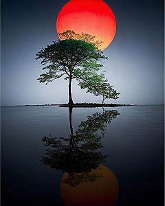 Why Minimalist Tree and Sun Art Works in Modern Spaces