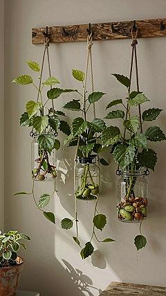 Hanging Glass Jar Planters for Autumn Foliage