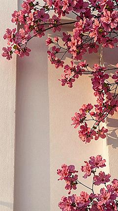 Bringing Botanical Charm into Your Home with Pink Blossom Art