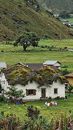 Integrating Natural Sod Roofs Into Highland Living