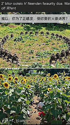 Creating a Circular Garden Layout with Living Supports