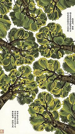 Maintaining Sage Green Butterfly Wallpaper In High Traffic Zones