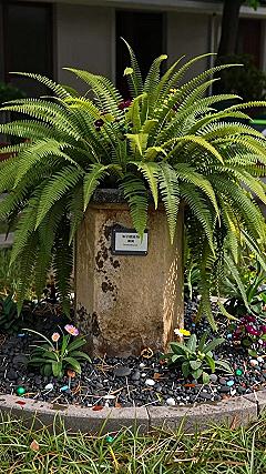 Integrating Potted Ferns Into Your Vegetable Garden Layout