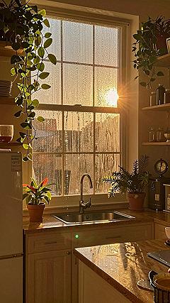 Adding Hanging Houseplants to Small Kitchen Windows