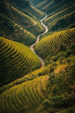 Iconic Rice Terraces at Sunset: A Global Travel Inspiration