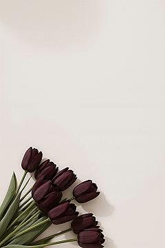 Dark Tulip Serenity: Minimalist Aesthetic iPhone Home Screen
