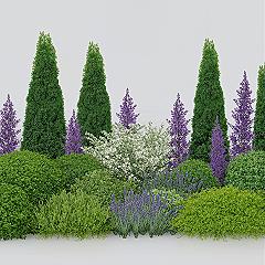 Modern Garden Planting Ideas for Stylish Landscape Bordering