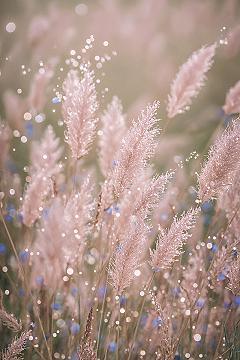 Sparkly Pink & Blue Flowers: Ethereal Glittery Wallpapers