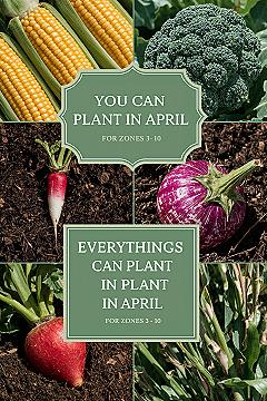 April Planting Guide: What to Grow in Your Garden Zone