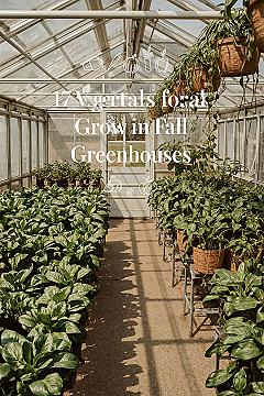 Winter Bounty: Essential Fall Planting for Your Greenhouse