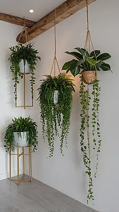 Green Sanctuary at Home