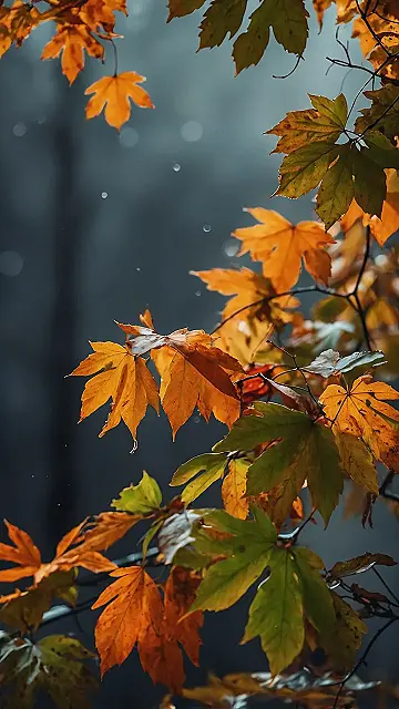 Elevate Your Autumn Display