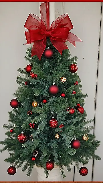 Bow-tiful Tree Power