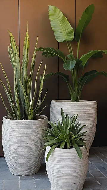 Happy Plants, Happy Deck