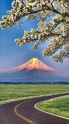 Grand Peaks, Great Views