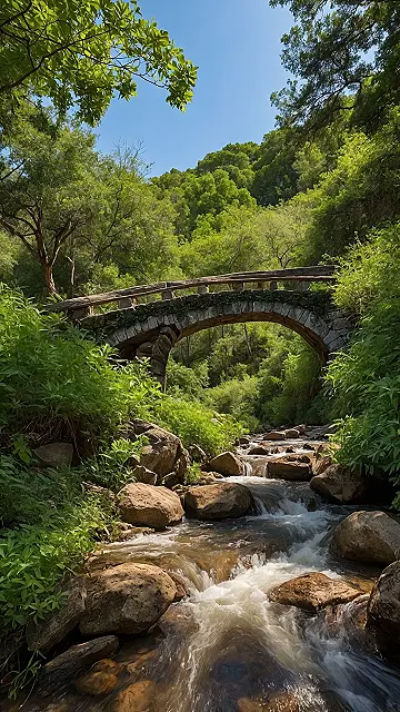 Serenity Span