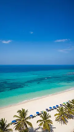 Life’s a Beach: The Album