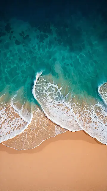 Ocean Oasis