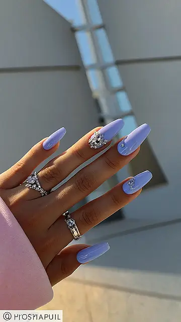 Royal Chic Manicure