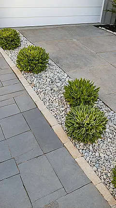 The Vibrant Front View