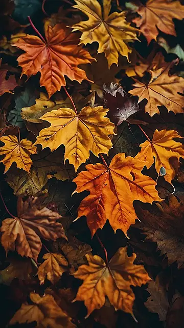 Fallin’ for Fall!: