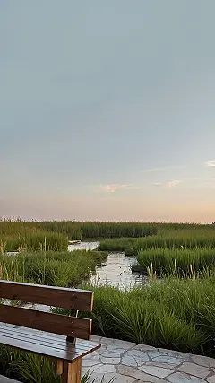 Peaceful Pond Perfection: