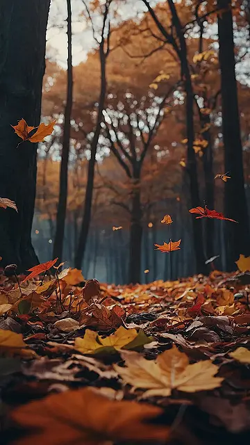 November’s Golden Carpet