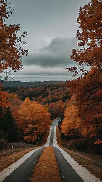 Autumn’s Path to Nowhere: