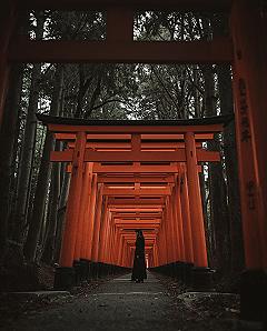 Kyoto’s Fushimi Inari: Stunning Torii Gates for Your Japan Travel Pics