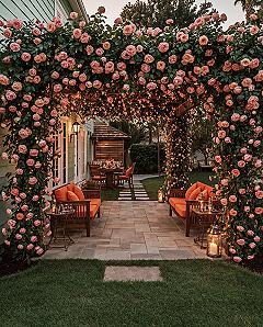 Charming Cottage Backyard: Your Dream Floral Oasis