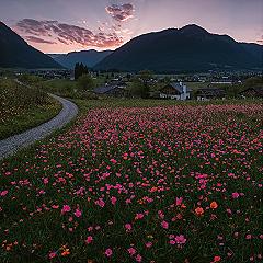 Golden Hour in Switzerland: Idyllic Towns & Hillside Views