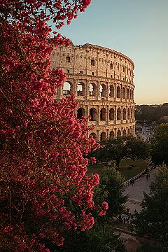 Rome in Bloom: Colosseum Cherry Blossom Photography