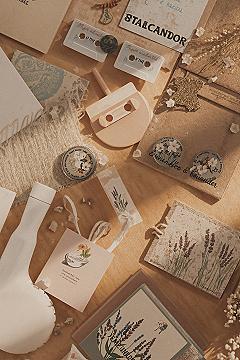 Cute DIYs and Aesthetic Room Projects to Elevate Your Space