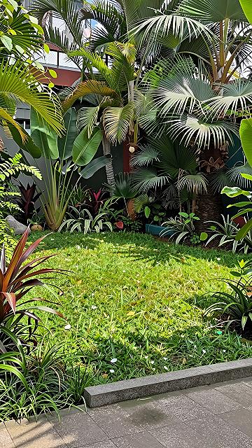 Creating a Lush Tropical Garden Corner