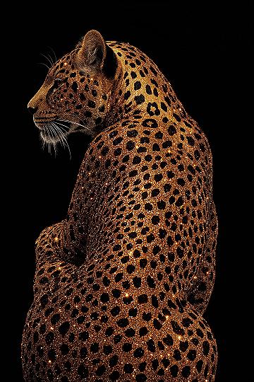 Glitter Leopard Print: Fierce & Glamorous Teen iPhone Wallpapers