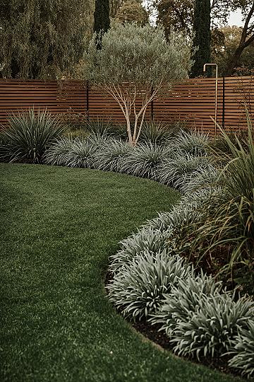 Natural Backyard Retreat: Modern Garden & Landscape Planting