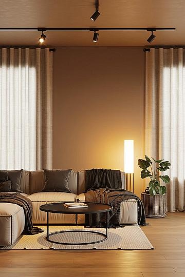 Cozy Minimalist Living Room: Simple Couches & Modern Apartment Lighting