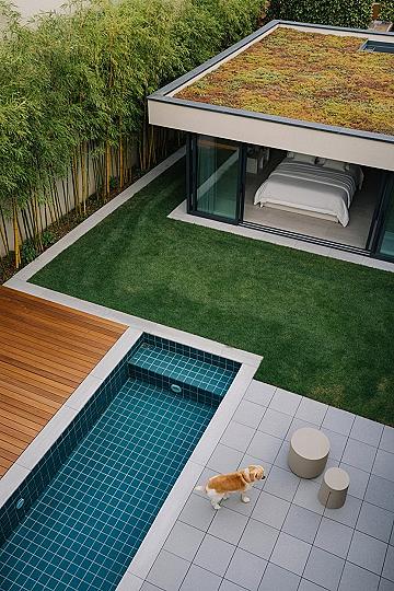 Minimalist Backyard Design: Small Pool & Modern Garden