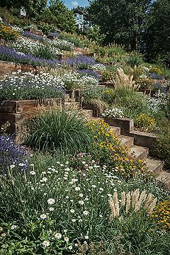 Natural Tiered Garden Designs for Stunning Hillside Backyards