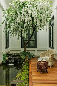 Japanese Garden Courtyard: Top Indoor Oasis Design Ideas