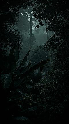 Misty Jungle Mystique: Lush Green Forest Wallpaper Escape