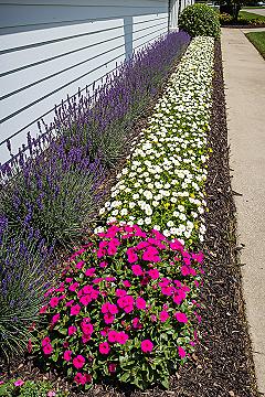 Stunning Front Yard Flower Bed Designs for Instant Curb Appeal