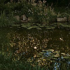 Enchanted Garden: Fairy Place with Golden Hour Light