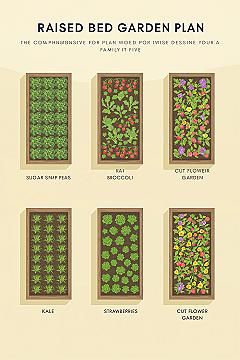 Raised Garden Bed Plans for Families: Beginner-Friendly Vegetable Garden Layouts