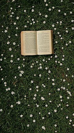 Spring Book Aesthetic: Simple Flower Wallpapers for Your Phone