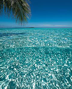 Maldives Ocean Vibes: Dreamy Beach Wallpaper for Your iPhone