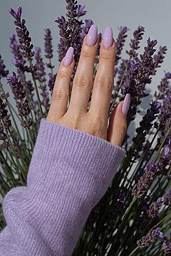 Elegant Lavender French Tip Nails: Your Spring 2026 Essential