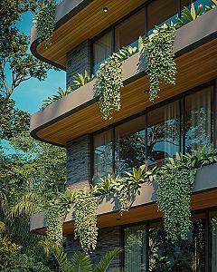 Tropical Elegance: Modern House Design Meets Nature