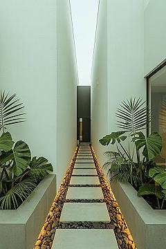 Modern Tropical Entrance Walkway: Contemporary Garden Design