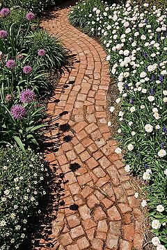 Charming Front Yard Garden: English Cottage Landscaping with Alliums & Brick Paths